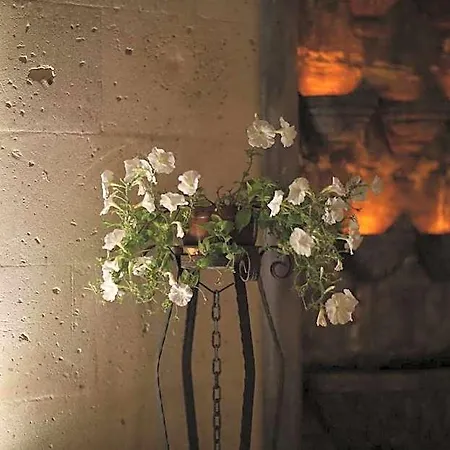 Solin Cave Cappadocia Отель Mustafapasa